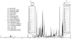 Figure showing 1H NMR spectra from supernatants of 14 Lactobacillus strains grown in Parmesan cheese extract with added methylglyoxal. A large 1H NMR spectrum spans the bottom of the figure, with two boxed zoom‑in regions. The left zoom highlights the singlet at 4.37 ppm assigned to acetol, showing overlaid spectra for each strain in different colors. The right zoom highlights the doublet at 1.14 ppm assigned to 1,2‑propanediol, also with overlaid colored spectra for each strain. Chemical structures of acetol and 1,2‑propanediol are shown above the corresponding boxed regions. A numbered list at left identifies the 14 Lactobacillus strains and an uninoculated control.