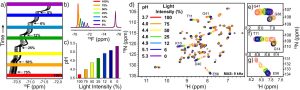 A multi‑panel NMR figure showing pH titration under different light intensities. Panel (a) displays a pseudo‑2D series of 19F spectra plotted as vertical stacks over time, with colored horizontal bars marking light intensities from 0% to 100%. Panel (b) shows overlaid 1D 19F spectra in multiple colors, each corresponding to a different light intensity, with peaks shifting across approximately ~70 to ~76 ppm. Panel (c) is a bar chart of calculated pH values, increasing systematically as light intensity decreases. Panel (d) shows overlaid 1H–15N HSQC spectra of GB1 labeled by light intensity, with residue‑specific chemical shift changes marked. Panels (e)–(g) provide zoom‑ins of individual residues, showing progressively shifted cross‑peaks across light conditions.